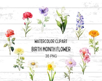 Watercolor Birth Month Flowers Clipart: Floral PNG Bundle (Digital Download)
