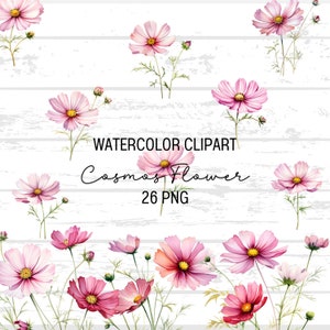 Peut inclure: Clipart aquarelle de 26 fleurs de cosmos roses sur un fond de bois blanc. Le texte "WATERCOLOR CLIPART Cosmos Flower 26 PNG" est écrit en noir sur le bois.
