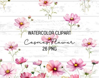 Watercolor Cosmos Flower Clipart Bundle: October Birthflower (PNG Digital Download)