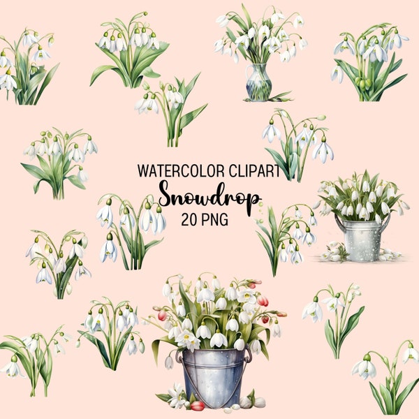 20 Snowdrop Birthflower Clipart Bundle, January Birth Flower, Watercolor Snowdrops Png, Flower Clipart Png, Snowdrop PNG, Birth Month Flower