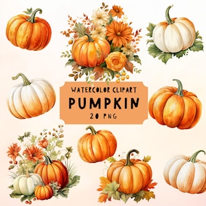 Aquarell Kürbis Clipart, Herbst Kürbis Aquarell in PNG, Herbst Herbst Kürbis Clipart Bundle, Herbst Saison Kürbis PNG, Junk Journals