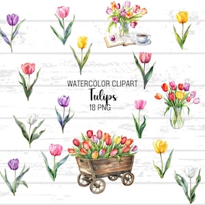 Aquarel tulpen illustraties - PNG, Tulip Clip Art digitale downloads, kaart maken, digitale papierkunst, bloemenboeketten, commercieel gebruik