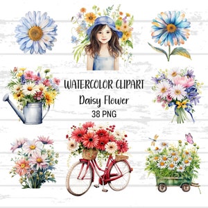 Daisy Flower Watercolor Clipart, 38 PNG Daisy Flower, Daisy Flower, Scrapbooking Flower, Commercial Use, Wedding Clipart, Floral Watercolor