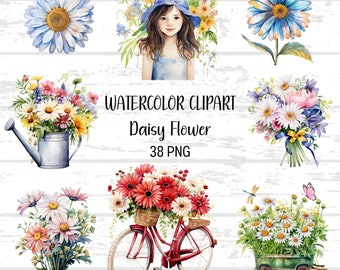 Clipart de margaritas en acuarela: 38 diseños florales PNG (uso comercial)