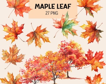Watercolor Maple Leaves Clipart: Autumn PNG Bundle (Digital Download)