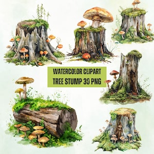 Watercolor Tree Stump Clipart: Mushrooms and Moss (30 PNG)