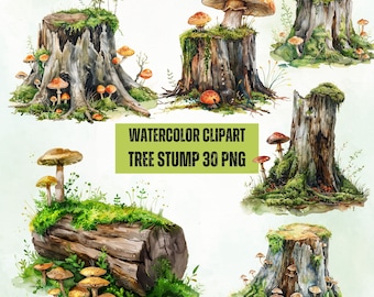 淡い緑色のキノコ 水彩画(原画) きのこ 水彩:38,498点を超えるロイヤリティフリーでライセンス