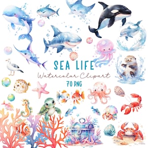 Sea Life clipart, aquarel onder de zee clipart, schattige oceaandieren png, babyshower, walvishaai dolfijn schildpad zeepaardje octopus clipart