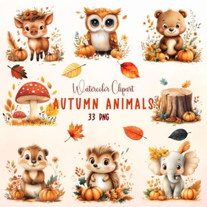 Imágenes prediseñadas de animales de otoño, animales de otoño, lindos animales del bosque, imágenes prediseñadas de animales del bosque de otoño en acuarela, decoración de guardería, cumpleaños de niños