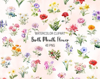 Watercolor Birth Month Flower Clipart: 48 PNG Designs (Digital Download)