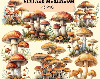 Watercolor Vintage Mushroom Clipart: 45 PNG Illustrations (Digital Download)