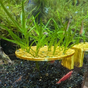 Magnetic Plant Holding Clip aquarium grass feeding holder