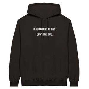 I Don&#39;t Like You - Classic Pullover Hoodie