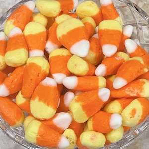 Freeze Dried Corny Candy, Perfect Sweet Treat, Freeze Dried Candy, Freeze Dried Snacks, Freeze Dried, Super Tasty, Free Shipping