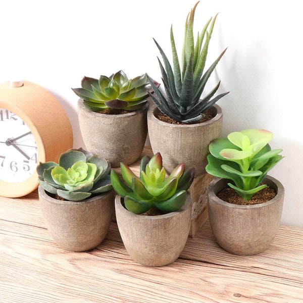 Set of 5 Mini Potted Artificial Lifelike Succulent Plants for Stylish Home Decor | Gift, Office Decor, Fake Plant, Low Maintenance