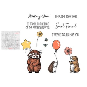 Troqueles de corte de metal y sellos transparentes, mapache, Gopher, erizo, globos, Miss You