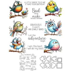 Pájaros tontos, soy el mejor, haré lo mejor, Birdie me dijo que era tu cumpleaños, troqueles de corte de Metal, sellos transparentes, álbum de recortes, fabricación de tarjetas, manualidades