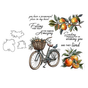 Otoño otoño bicicleta naranjas troqueles de corte de Metal sellos transparentes álbum de recortes tarjeta artesanal