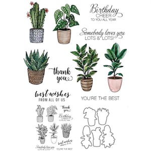 Plantas en macetas, Cactus, mejores deseos, cumpleaños, alegría, eres el mejor, troqueles de corte de Metal, sellos transparentes, álbum de recortes, fabricación de tarjetas artesanales