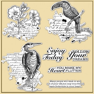 Oiseaux Cigogne Toucan Fleurs Profitez-en aujourd'hui, vous faites battre mon coeur Suivez vos rêves Tampons transparents Fabrication de cartes Artisanat