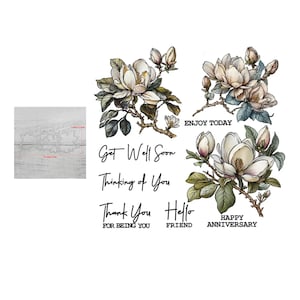 Magnolia fleurs printanières, profitez-en aujourd'hui Matrices de découpe en métal Tampons transparents