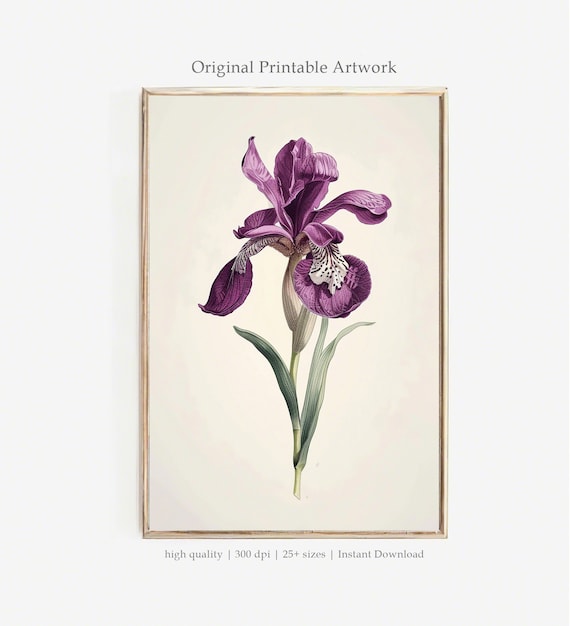 Purple Iris PRINTABLE Art | Vintage Botanical Flower Illustration | Classic Floral Wall Decor | Iris Print
