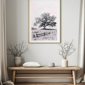 May include: A black and white photograph of a lone tree in a field with a wooden fence. The sky is a light pink color.