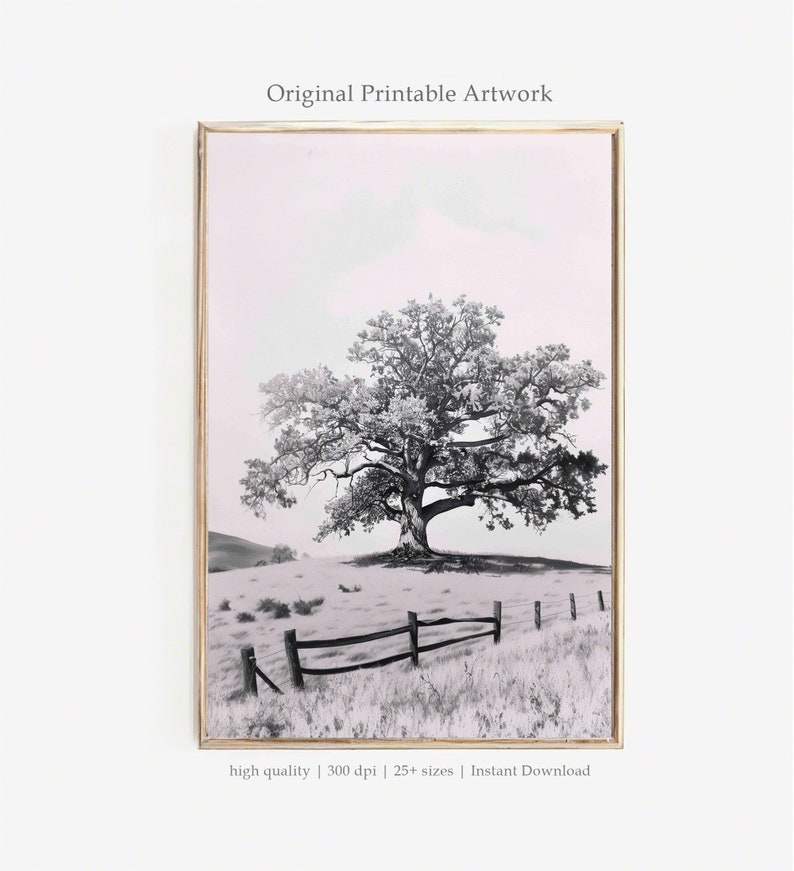 May include: A black and white photograph of a large tree with a wooden fence in the foreground. The tree is in a field with a light pink sky in the background.