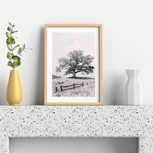 May include: A black and white photograph of a lone tree in a field with a wooden fence. The photo is framed in a light wood frame and is displayed on a white countertop with a vase of green leaves on the left and a white vase on the right.