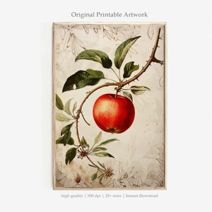 Vintage Apple PRINTABLE Art | Botanical Fruit Illustration | Scientific Wall Art | Heirloom Apple Decor