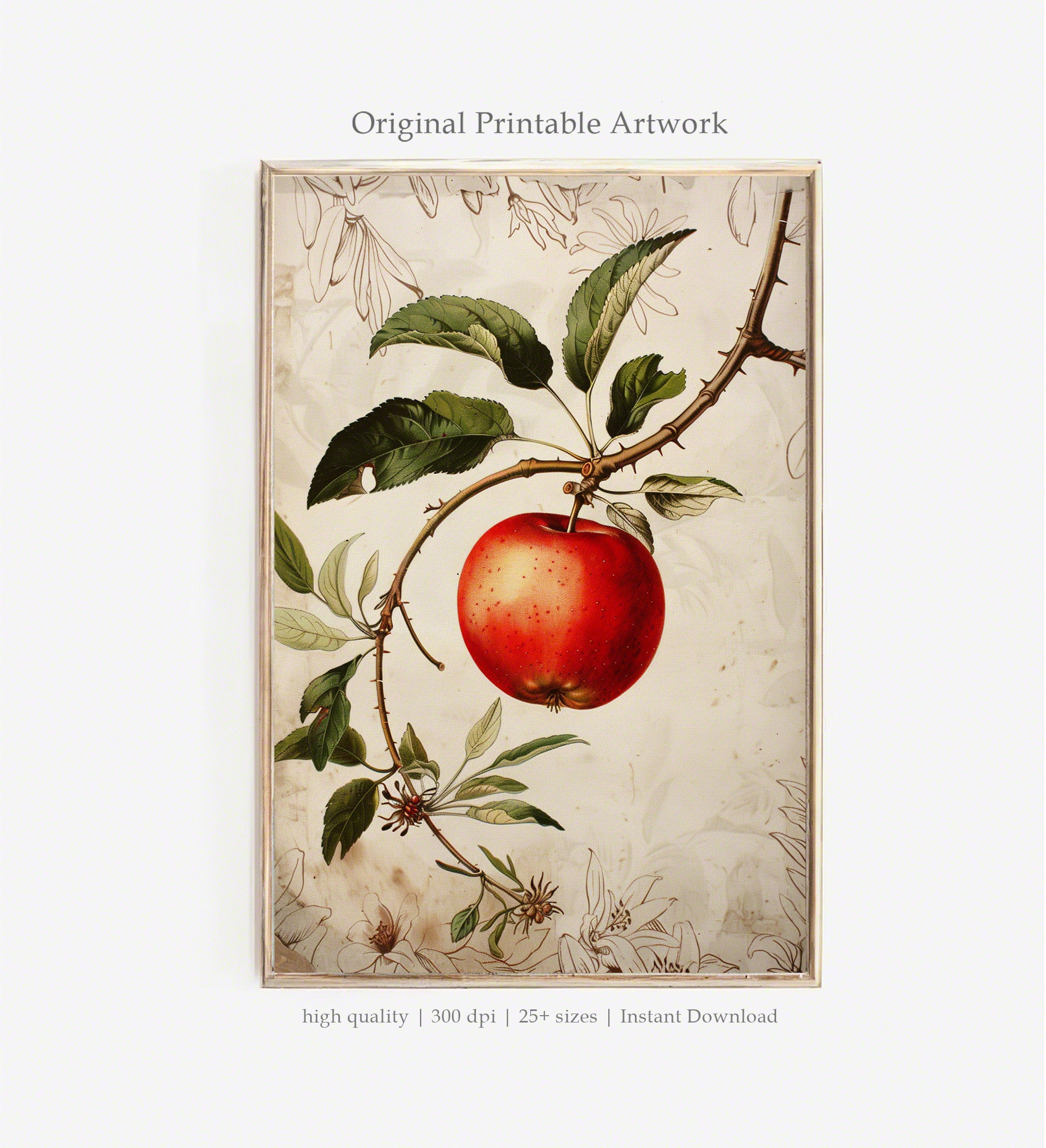Vintage Apple PRINTABLE Art | Botanical Fruit Illustration | Scientific Wall Art | Heirloom Apple Decor