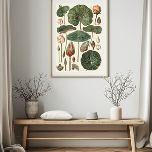 May include: A framed botanical print featuring detailed illustrations of lotus flowers and leaves in various stages of growth. The artwork showcases green leaves, pink and orange blossoms, and buds against a cream-colored background. The print is displayed above a wooden bench.