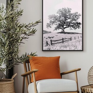 May include: A black and white photograph of a lone tree in a field with a wooden fence in the foreground. The tree is in the center of the image and is surrounded by grass. The fence is made of horizontal wooden rails and is in the lower right corner of the image.