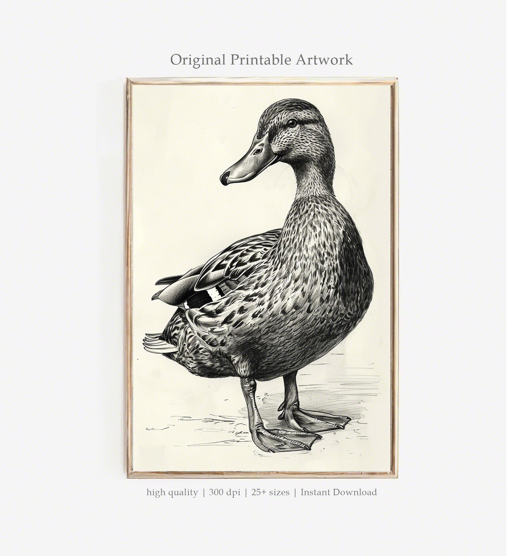 Monochrome Duck Portrait PRINTABLE Art Nature-inspired Wall Decor Bird ...