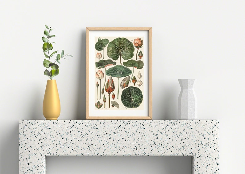 May include: Botanical print featuring detailed illustrations of lotus flowers, leaves, and buds in various stages of growth. The artwork is framed in a light wood frame and displayed on a white surface. A gold vase and a white geometric vase are also present.