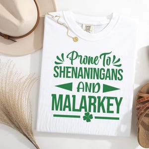 PRONE TO SHENANIGANS And Malarkey Shirt, Comfort Colors St Patricks Day Tshirt, Lucky Shamroc Shirt, Funny St Patricks Day Shirt Gift