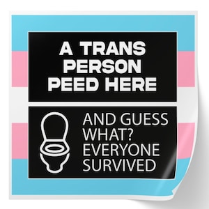 Puede incluir: Una bandera del orgullo transgénero azul y rosa con texto negro que dice "Una persona trans orinó aquí y adivina qué? Todos sobrevivieron." Una ilustración en blanco y negro de un inodoro está debajo del texto.