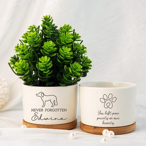 Vaso per piante personalizzato per la perdita di un animale domestico, vaso per piante commemorativo, mini vaso per piante commemorativo per cani e gatti, regalo di condoglianze per la mamma di un animale domestico, regalo per vaso per piante con zampa di animale domestico
