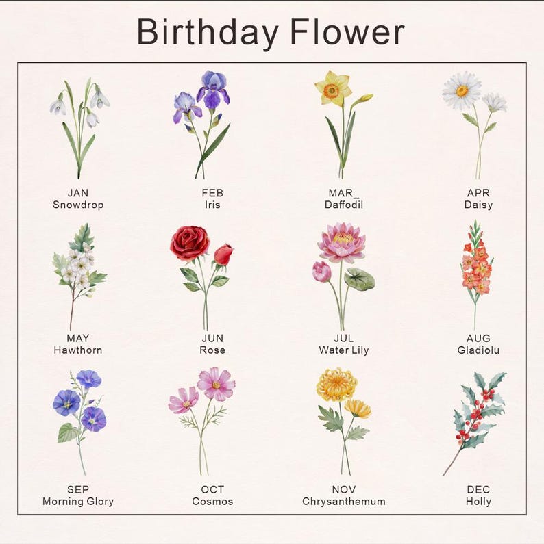 K&ouml;nnte beinhalten: Eine Blumentafel mit dem Titel "Geburtsblume" zeigt Aquarellillustrationen von Blumen f&uuml;r jeden Monat. Die Blumen umfassen Schneegl&ouml;ckchen, Iris, Narzisse, G&auml;nsebl&uuml;mchen, Wei&szlig;dorn, Rose, Seerose, Gladiole, Prunkwinde, Kosmos, Chrysantheme und Stechpalme.