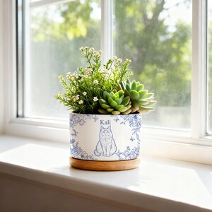 May include: A white ceramic planter with a blue floral and cat design, holding a variety of plants. The planter sits on a wooden base. The word "Kali" is written on the planter.