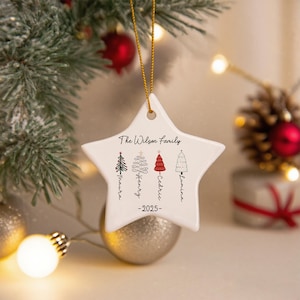 May include: A white star-shaped ceramic ornament hanging by a gold string. It features the text The Wilson Family and 2025, with four stylized Christmas tree illustrations, each labeled with the names Maura, Henry, Cedric, and Lumina.