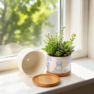 May include: A white ceramic planter with a blue illustration of a dog and floral design, holding a succulent plant. The planter sits on a wooden saucer. A second, empty planter is next to it. The word "Miller" is printed on the planter.