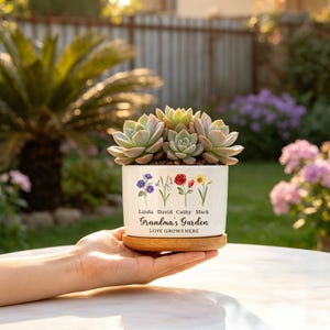 K&ouml;nnte beinhalten: Ein wei&szlig;er Keramik-Blumentopf mit einer Sukkulenten-Anordnung, gehalten auf einer Holzuntertasse. Der Topf ist mit floralen Illustrationen und dem Text "Grandma's Garden, Love Grows Here" mit Namen verziert. Der Hintergrund zeigt einen Garten.