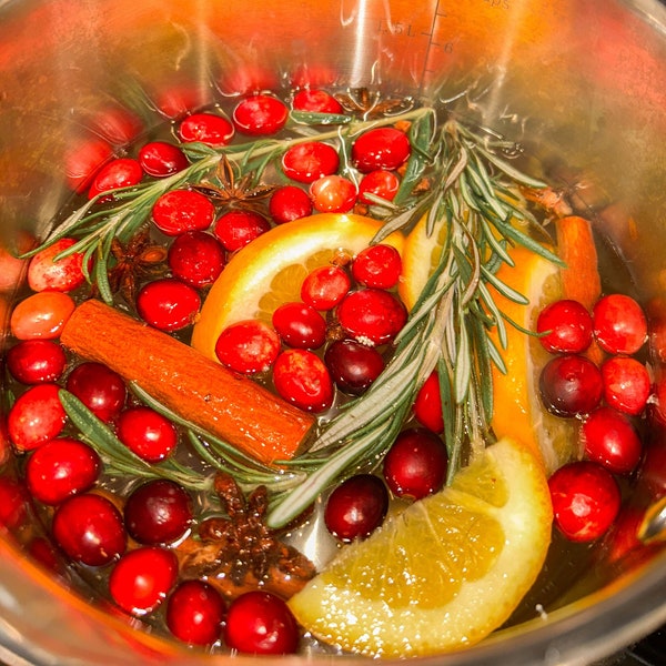 Winter Stovetop Potpourri