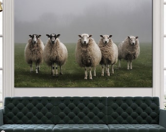 Foggy sheeps canvas wall art Rustic home decor Farm animals print