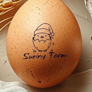 Sellos de huevo personalizados / Sello de huevo en miniatura / Homesteading / Sello de granja / Estampador de huevos / Sello de cartón de huevos / Sello de huevo de pato / Chica de granja / Granja familiar