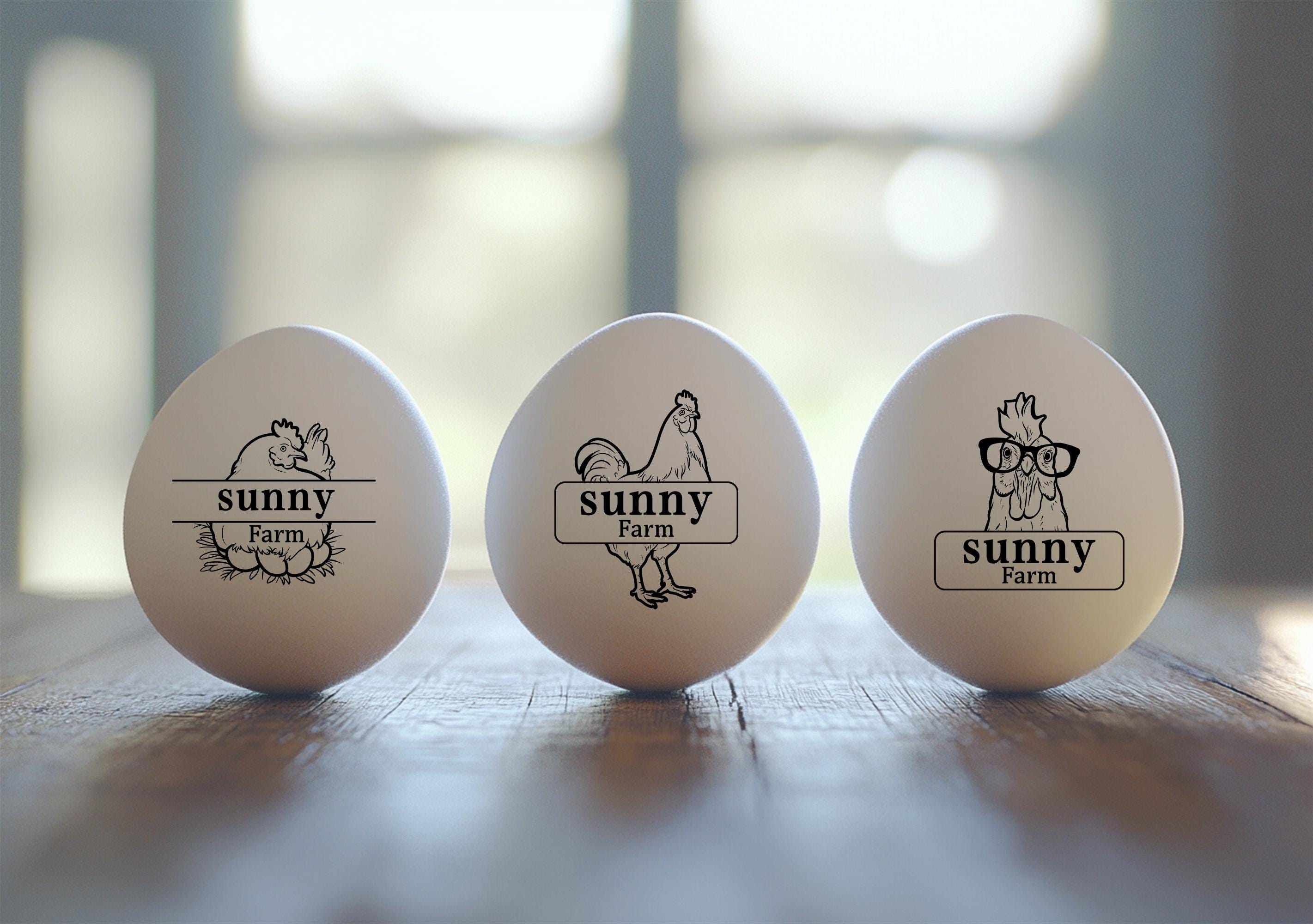 Tampon oeuf de poule, oeufs frais de la ferme, cadeau fermier