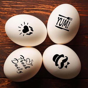 Egg Stamps - Promotions - Mix and Match - Farm Fresh Egg Stamps - Egg Stamps - Backyard Chickens - Egg Carton Stamps - Farm Experts