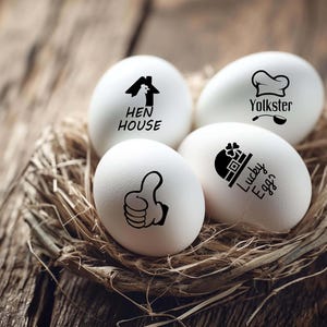 Egg Stamps - Promotions - Mix and Match - Farm Fresh Egg Stamps - Egg Stamps - Backyard Chickens - Egg Carton Stamps - Farm Experts
