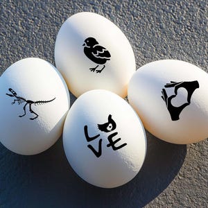 Egg Stamps - Promotions - Mix and Match - Farm Fresh Egg Stamps - Egg Stamps - Backyard Chickens - Egg Carton Stamps - Farm Experts